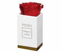 Fragrance & Flowers Flower Mini Box Red 1 Stck.