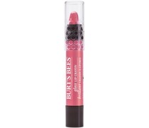 Lippenfarbe Gloss Lip Crayon 3,11 g Pink Lagoon