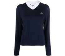 Pullover mit V-Ausschnitt