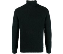 Pullover mit Rollkragen