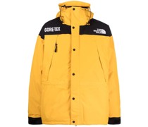 Gore-Tex Mountain Guide Thermojacke