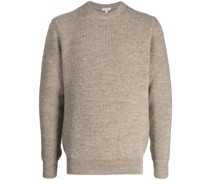 Strickpullover mit Rundhalsausschnitt