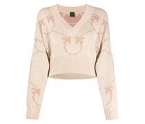 Pullover mit V-Ausschnitt