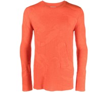 Pullover aus Phoenix-Jacquard
