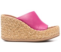 Saba Plateau-Mules