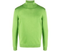 Rollkragenpullover mit Intarsien-Motiv