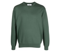 Pullover mit Rundhalsausschnitt