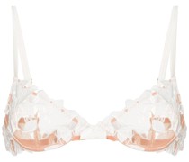 Lily Plunge-BH