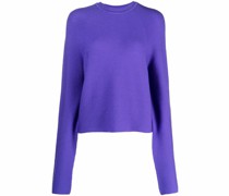 Pullover mit rundem Ausschnitt