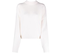 Pullover mit Stehkragen