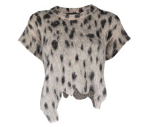 Asymmetrisches Top