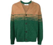 Cardigan aus Kaschmir mit Farbverlauf