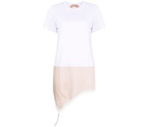 Asymmetrisches Top