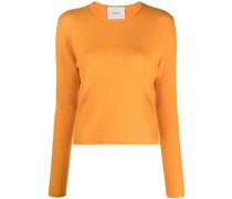 Feinstrickpullover aus Kaschmir