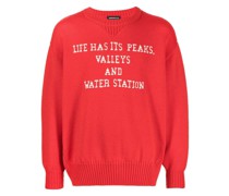 Pullover mit Slogan-Print