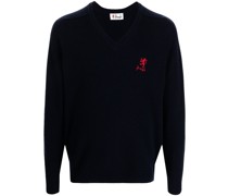 Pullover mit V-Ausschnitt