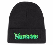 x Shrek Beanie