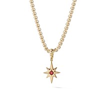 18kt North Star Birthstone Gelbgoldanhänger