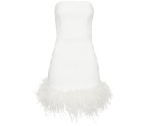 Minikleid mit Federbesatz