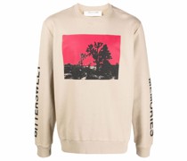 Sweatshirt mit Joshua-Print