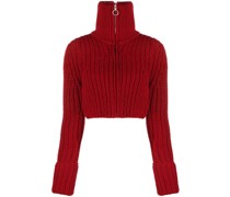 Pullover mit Reißverschluss