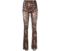 Halcyon Hose