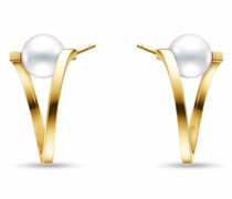 18kt A FIne Line Gelbgoldohrringe mit Akoya-Perle