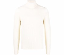Pullover mit Rollkragen