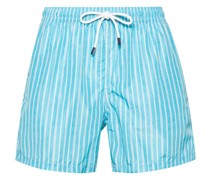 Madeira striped swim shorts