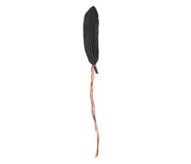 Große Anstecknadel mit Feder