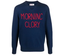 Pullover mit Slogan-Stickerei