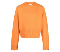 Kaschmirpullover mit Rundhalsausschnitt