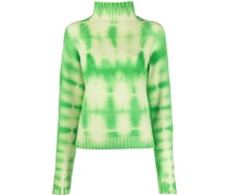 Ted Rollkragenpullover