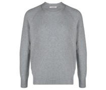 Pullover mit Rundhalsausschnitt