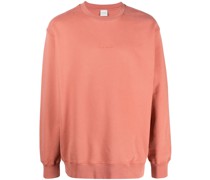 Sweatshirt mit Rundhalsausschnitt