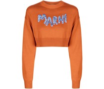 Sweatshirt mit Logo-Print