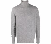 Pullover mit Rollkragen