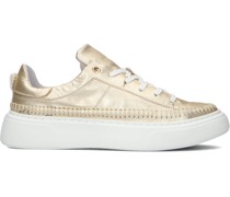 Tango Damen Sneaker Low Alex 25 - Gold