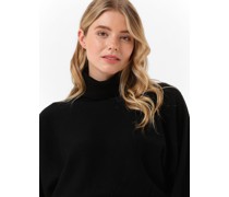 Rollkragenpullover Sweater Herb