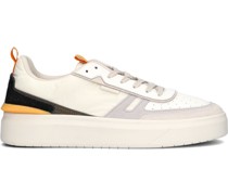 Sneaker Low Cambria