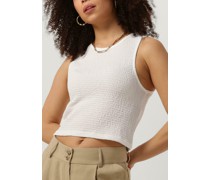 Top Abelia Top