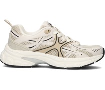 Sneaker Low Lilo