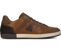 Gaastra Herren Sneaker Low Willis Ctrm - Cognac