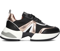 Alexander Smith Damen Sneaker Low Marble - Schwarz