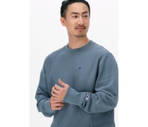 Sweatshirt Crewneck Sweatshirt