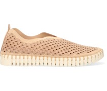 Slipper Tulip3275