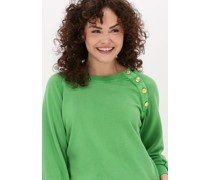 Sweatshirt Sally Jc55 Plain