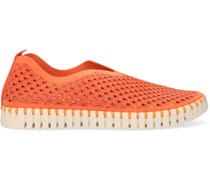 Slipper Tulip3275