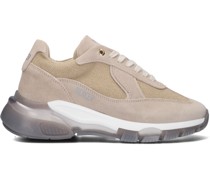 Mercer Amsterdam Damen Sneaker Low Wooster 2.5 - Beige