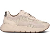 Sneaker Low 22lpcibel